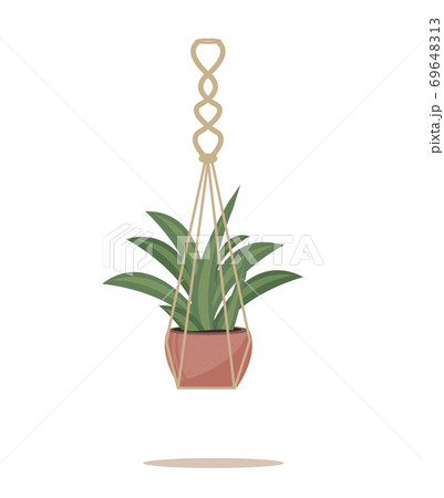 Flower in a pot pots macrame, modern Scandinavian style. Hanging plant, interior decor. Vector illustration Flower in a pot pots macrame, modern Scandinavian style. Hanging plant, interior decor. Vector illustration 69648313
