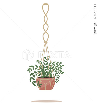 Flower in a pot pots macrame, modern Scandinavian style. Hanging plant, interior decor. Vector illustration 69648314