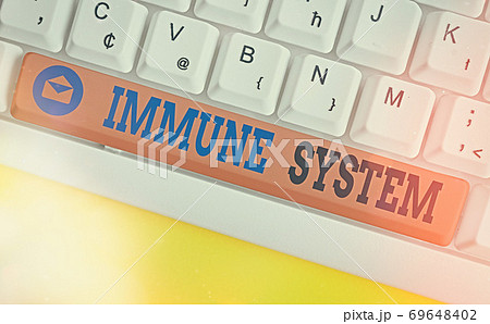 Conceptual hand writing showing Immune System Conceptual hand writing showing Immune System 69648402