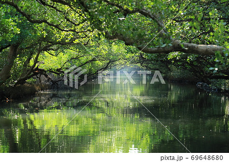 台湾 池 溜池 69648680