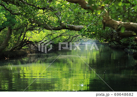 台湾 川 大井川 69648682