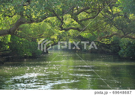 台湾 はしけ 艀 69648687