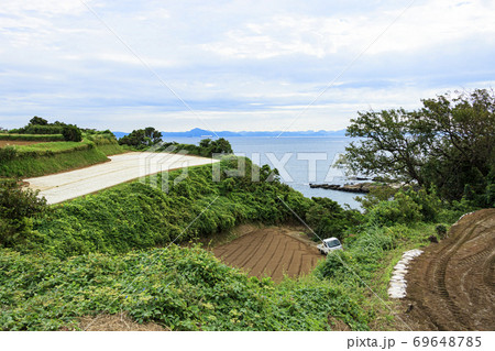 海と大地と大根と風光明媚な三浦半島の秋 69648785