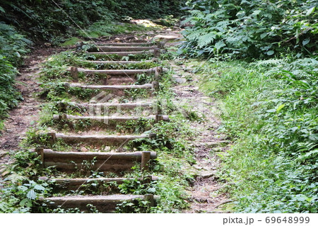 たくさんの植物が自生する山道の階段 たくさんの植物が自生する山道の階段 69648999
