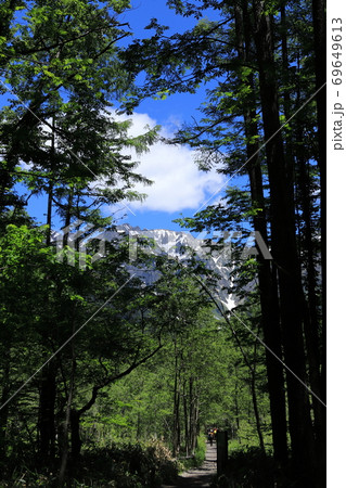 新緑の上高地 69649613