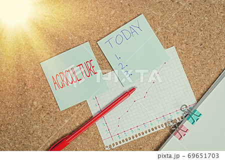 Conceptual hand writing showing Agriculture 69651703