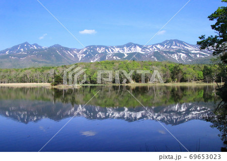 知床五湖に反射する絶景 69653023