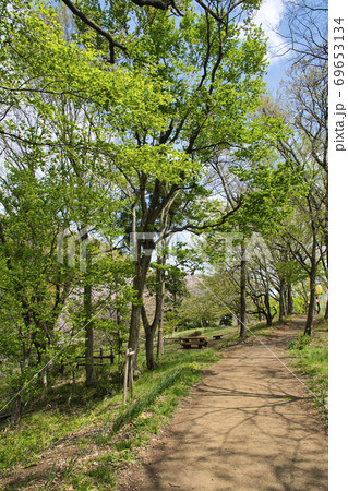 【秦野市】弘法山公園 浅間山 【秦野市】弘法山公園 浅間山 69653134