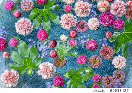 埼玉県行田市 行田八幡神社の花手水の写真素材