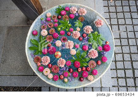 埼玉県行田市 行田八幡神社の花手水 69653434