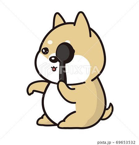 視力検査をす柴犬 69653532