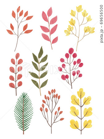秋 植物 カラフルのイラスト素材 秋 植物 カラフルのイラスト素材