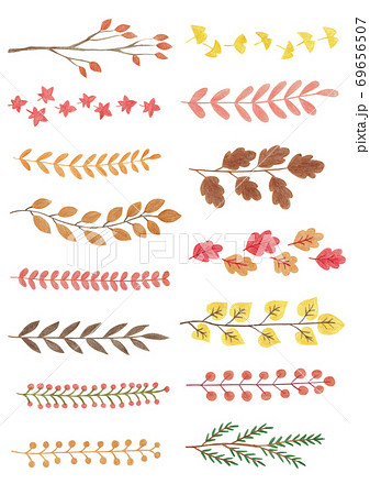 秋 植物 紅葉のイラスト素材
