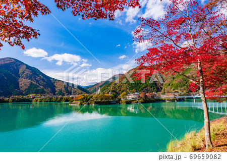 （神奈川県）丹沢湖　湖畔の紅葉 69659082