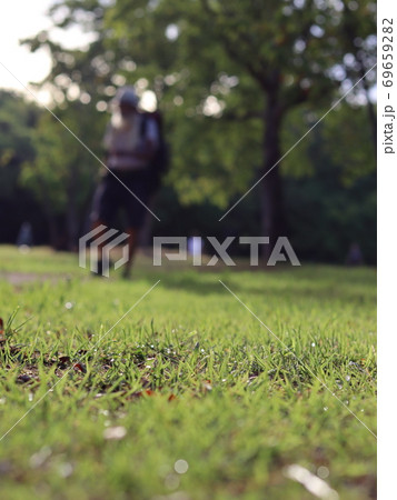 Green Park Green Park 69659282