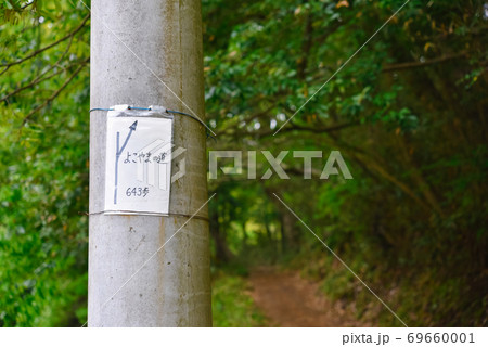 多摩よこやまの道	 多摩よこやまの道	 69660001