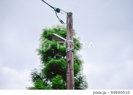 木製電柱 木製電柱 69660010