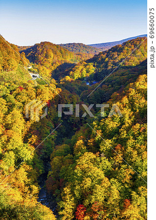 紅葉時期の国道398号線湯浜峠の風景 宮城県栗原市の写真素材