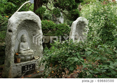 白萩咲く大悲願寺 白萩咲く大悲願寺 69660500