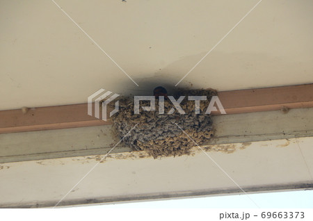 ツバメの巣（JR関ヶ原駅／岐阜県不破郡関ケ原町大字関ケ原） 69663373