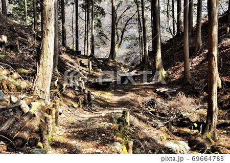 冬の丹沢山地 釜場平の休憩所 69664783