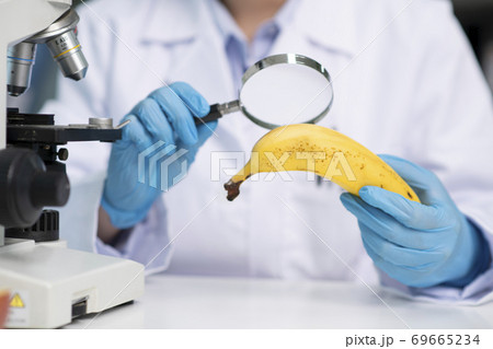 Science, chemistry, biology, and medicine concept, scientist with equipment and science experiments 193 Science, chemistry, biology, and medicine concept, scientist with equipment and science experiments 193 69665234