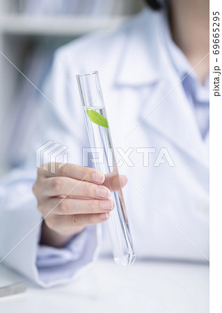 Science, chemistry, biology, and medicine concept, scientist with equipment and science experiments 205 69665295
