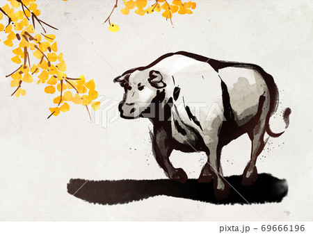 New year 2021, year of the ox ink painting illustration 010 69666196