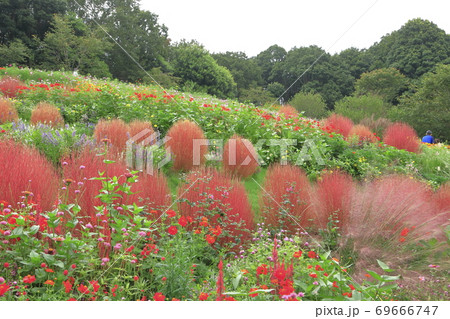 秋の里山ガーデンフェスタ 69666747