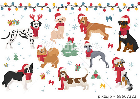 Dog characters in Santa hats and scarves. Christmas holiday design Dog characters in Santa hats and scarves. Christmas holiday design 69667222