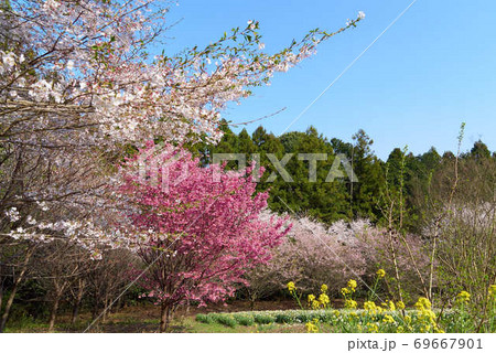 宇都宮　豊郷　まほろばの郷　里山 69667901