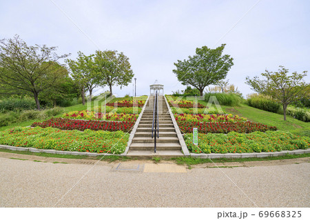 明石海峡公園 初秋の花々 明石海峡公園 初秋の花々 69668325