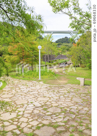 明石海峡公園 初秋の花々 明石海峡公園 初秋の花々 69668330