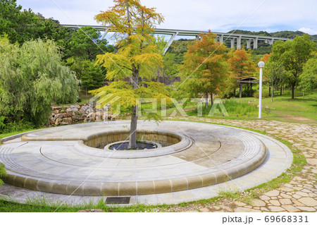 明石海峡公園　初秋の花々 69668331