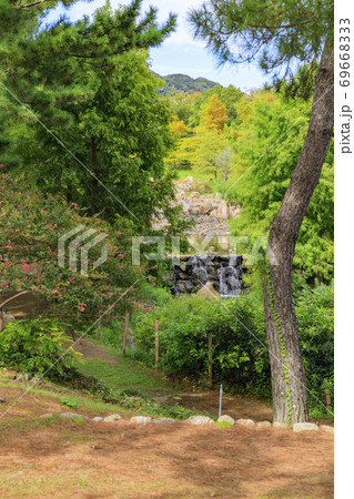 明石海峡公園　初秋の花々 69668333