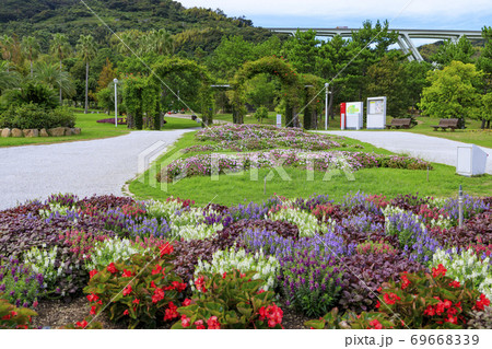 明石海峡公園 初秋の花々 明石海峡公園 初秋の花々 69668339