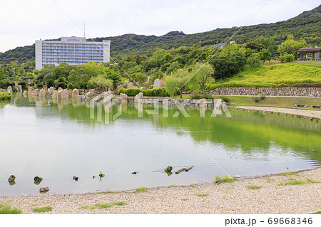 明石海峡公園 初秋の花々 明石海峡公園 初秋の花々 69668346