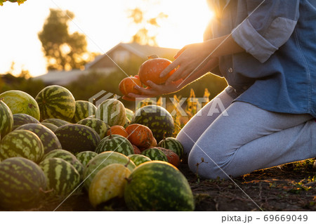 Farmer with pumpkin  69669049