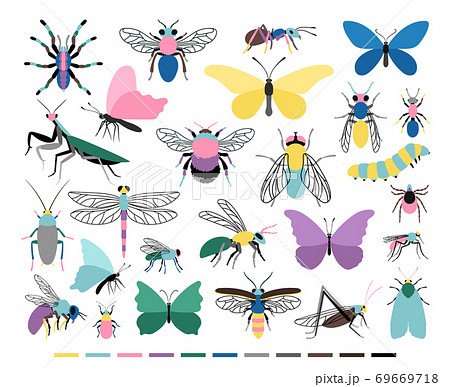 Cartoon insect set Cartoon insect set 69669718