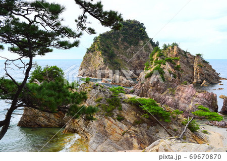 菜種五島 山陰海岸ジオパーク の写真素材