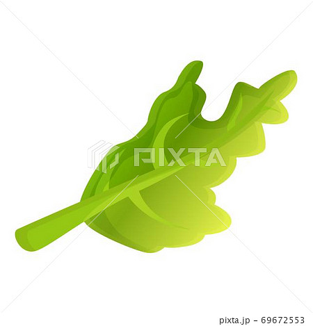 Arugula salad icon, cartoon style 69672553