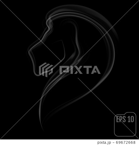 Lion made of smoke. Vector. Lion made of smoke. Vector. 69672668
