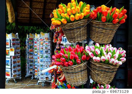Dutch colorful wooden tulips, postcards in souvenir shop, Netherlands, Europe 69673129