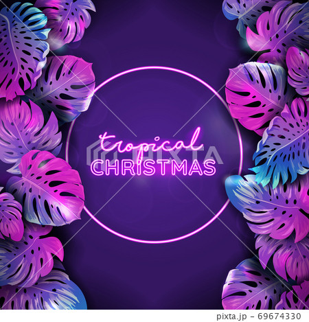 Vector Christmas tropic neon banner, winter beach holidays, monstera palm leaves design, xmas tropical background 69674330