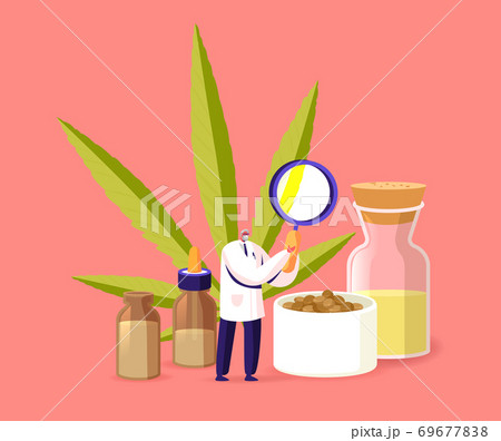 People Growing Medical Cannabis. Scientist Checking Hemp Plant and Seeds in Greenhouse. f Herbal Medicine, Cbd Oil 69677838