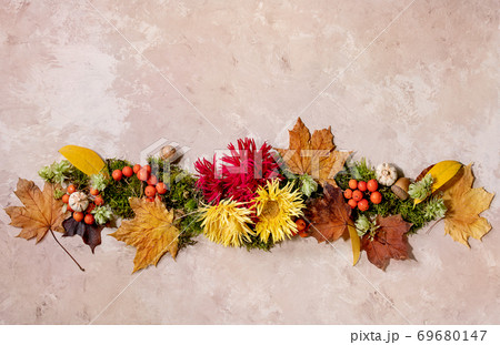 Autumn botanical composition 69680147