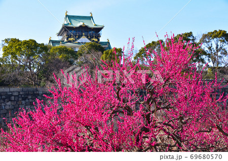 大阪城　梅林 69680570