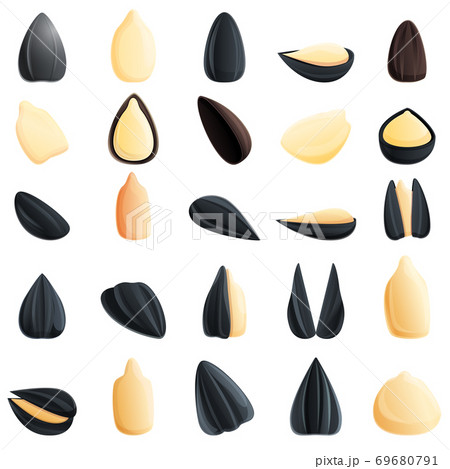Sunflower seed icons set, cartoon style 69680791