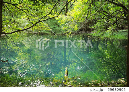 新緑の丸池様【山形県】 69680905