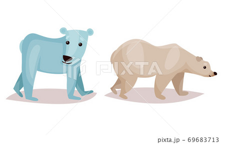 Polar Bear as Carnivore Mammal Isolated on White Background Vector Set 69683713